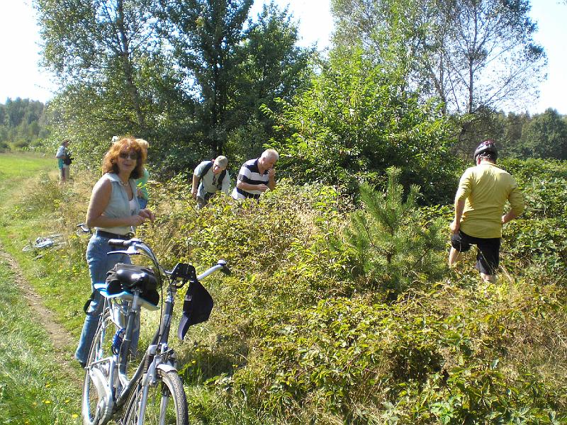 rowtras 030.jpg - Jeżynowy posiłek.